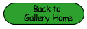 Back to Gallery Home