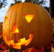 Prize winning Pumpkin
