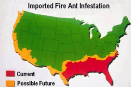 Fire Ant Map