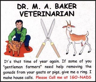 Veterinarian Business Ad